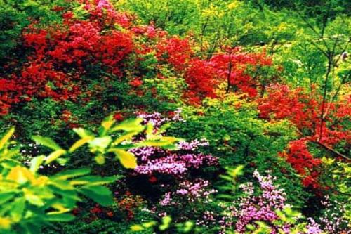 第六节——从深层剖析qsort的使用(让你不再害怕指针)
