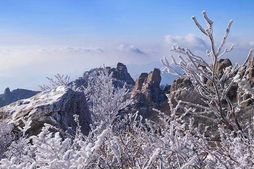 机械制造行业未来的前景