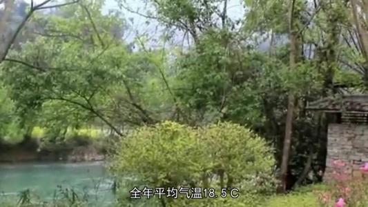 广州本田歌诗图几种颜色