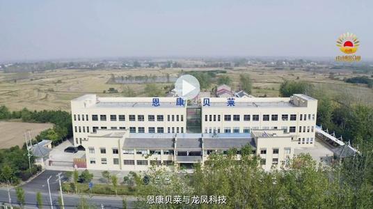 B 站数据库负责人赵月顺：助力海内外业务增长，百套 TiDB 的选型与运维实战