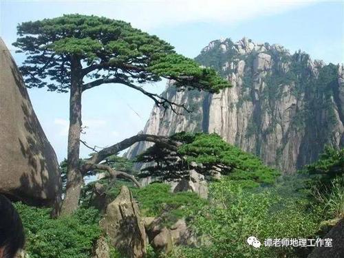 MindManager下载和使用