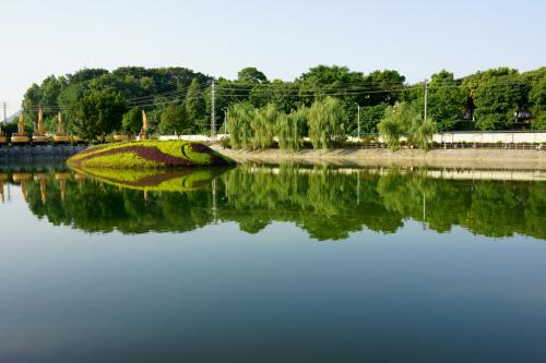 表白墙网站手把手搭建（网站搭建的详细教程+保姆级解答）